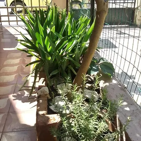 B&B Mediterraneo *